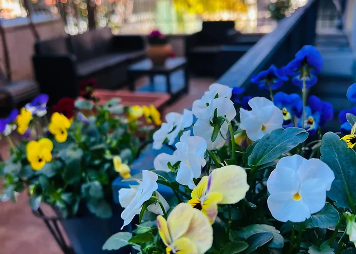 Casa Francis * Matera