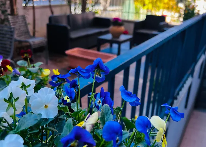 Casa Francis Appartement