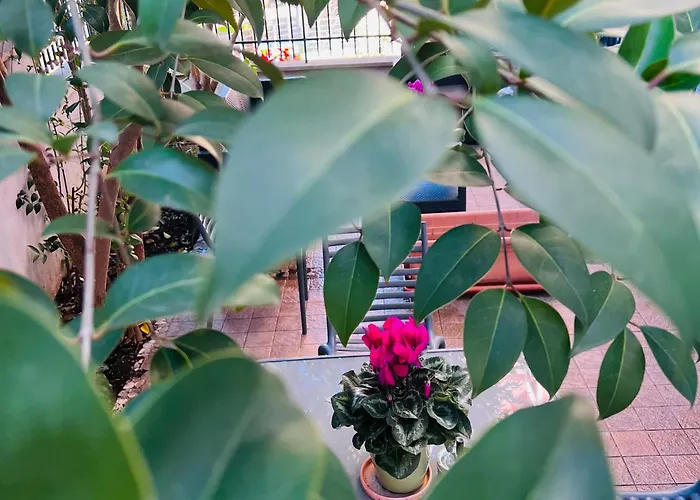 Appartement Casa Francis