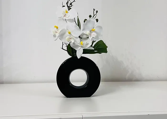 Appartement Casa Francis